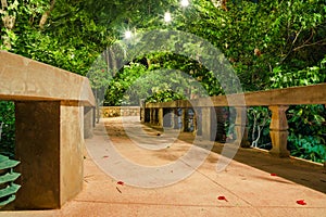 Picturesque tropical garden patio walkway at night in the forest