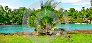 Picturesque tropical landscape. Lake, coconut palms and mangroves. Wide photo