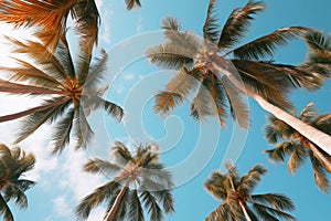 Picturesque Tropical palm trees view. Generate Ai