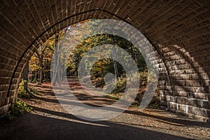 A Picturesque Tunnel in Autumn