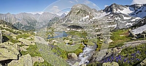 A picturesque valley in the Altai Mountains. Green alpine meadows, spring flowers, snow, lakes and creek. Panorama