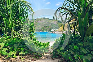 Picturesque view of Andaman sea in Phuket island, Thailand. View through the jungle on the beautiful bay and mountains.