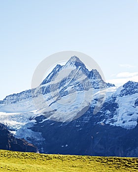 Picturesque view on Bachalpsee lake in Swiss Alps mountains