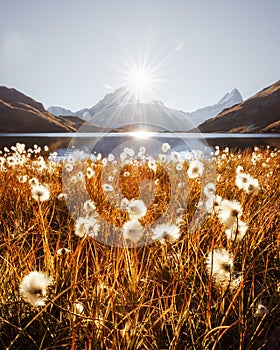 Picturesque view on Bachalpsee lake in Swiss Alps mountains