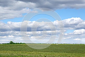 Picturesque view of beautiful fluffy clouds in light blue sky above field