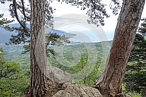 Picturesque view of the city of Yalta and the Black Sea from Ai-Petri mountain in Crimea. Mountain landscape with trees