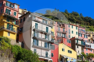 Picturesque view of the colorful houses along the main street in a sunny day in Manarola.