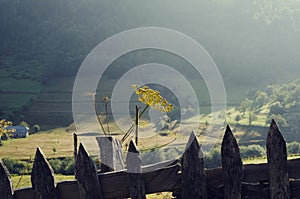 Picturesque view of a dill blossom behind wooden fence and green fields in mountain.