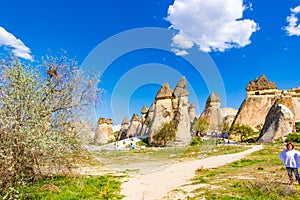 Unique Fairy Chimneys rock formation Cappadocia Turkey