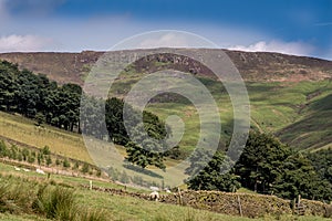 Picturesque View on the Hills near Edale, Peak District National Park, Derbyshire, England, UK