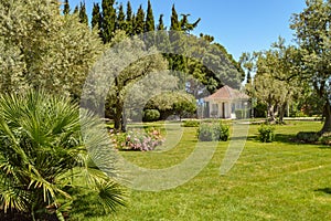 Picturesque view of the Mediterranean landscape with a beautiful lawn, a small farmhouse and olive and cypress trees