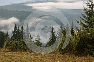 Picturesque view of mountain landscape with beautiful forest and fog patches