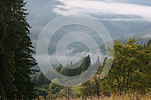 Picturesque view of mountain landscape with beautiful forest and fog patches