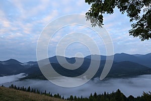 Picturesque view of mountains and forest covered with fog in morning