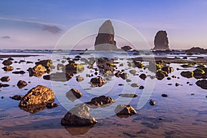 Picturesque view of the Oregon Coast with it`s sea stacks and rocks in the water after sunset.