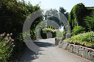 Picturesque view of park with blooming bushes and trees