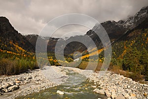 Picturesque view of river in mountains with forest on autumn day