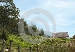 Picturesque view of secluded house and forest