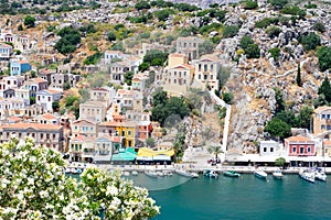 Picturesque view on tiny colorful houses on rocks through blooming white oleander tree near the Mediterranian sea on Greek island photo