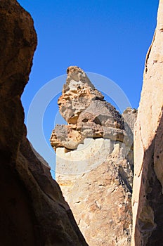 Picturesque view top of the famous Fairy Chimneys or Multihead stone mushrooms in Pasaba Valley near Goreme. Blue sky background.