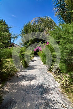 A picturesque view of a trail leading to the sea