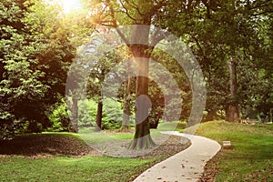 Picturesque view of tranquil park with paved pathway