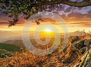 picturesque view from under the branch of a tree on a mountain slope to a mountains and sunset or sunrise valley with anazing photo