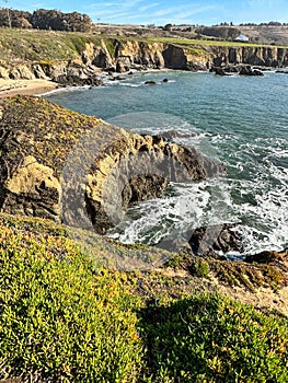 Picturesque view of Whalers Cove in California