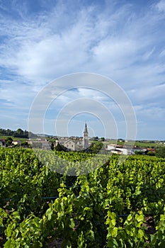 Village of ChÃÂ©nas in the Beaujolais vineyard in the RhÃÂ´ne department in summer