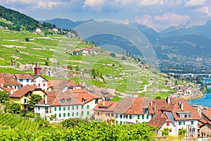 Picturesque village Rivaz located on slopes by Lake Geneva, Switzerland. Swiss summer. Lavaux wine region, UNESCO Heritage.