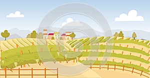 Picturesque Vineyard with Ripe Fruit near Farm.