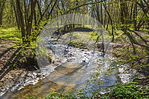 Picturesque water stream in the forest