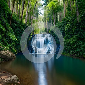 Picturesque waterfall surrounded by dense foliage in a tranquil forest