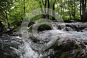 Picturesque waterfall among trees and stones overgrown with green moss, clear clear water of Plitvice Lakes