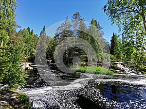 Picturesque waterfalls on the Tokhmayoki river in Karelia surrounded by trees on a clear summer morning