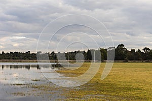 Picturesque Wetland Landscape Covered with Vegetation