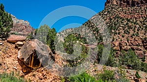 Picturesque wild desert nature of the southwest in Zion National Park, Utah, USA