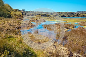 Natural Reserve Natural resources Marisma de Joyel. Cantabria, Spain, Europe photo