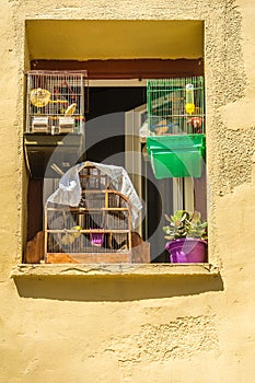 Picturesque window with bird cages in Greece