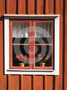 Picturesque window with flowers. Linkoping. Sweden photo