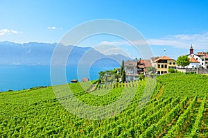 Picturesque wine growing village Rivaz in Lavaux wine region, Switzerland. Lake Geneva and Swiss Alps in the background. Green