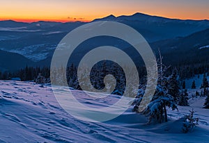 Picturesque winter alps sunrise. Highest ridge of the Ukrainian Carpathians is Chornohora with peaks of Hoverla and Petros