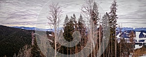 Winter cloudy landscape of the Carpathian Mountains in Eastern Europe