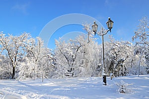 A picturesque winter park landscape, the trees covered with snow, with lantern in the Dnipro city , Christmas winter