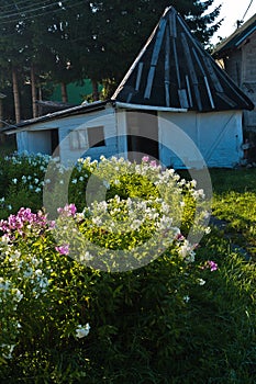 Picturesque wooden house with garden full of flowers at Sjenica photo