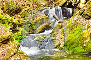 Picturesque woodland setting featuring a small waterfall cascading over moss-covered rocks