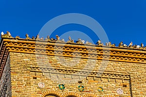Pidgeons on roof tower