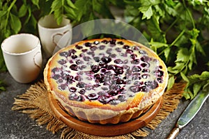 Pie with sour cream and blueberries. Homemade baking.