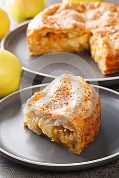 Piece of Apple Pie with Cheddar Cheese closeup in the plate. Vertical