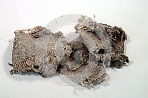 Piece of asbestos fabric